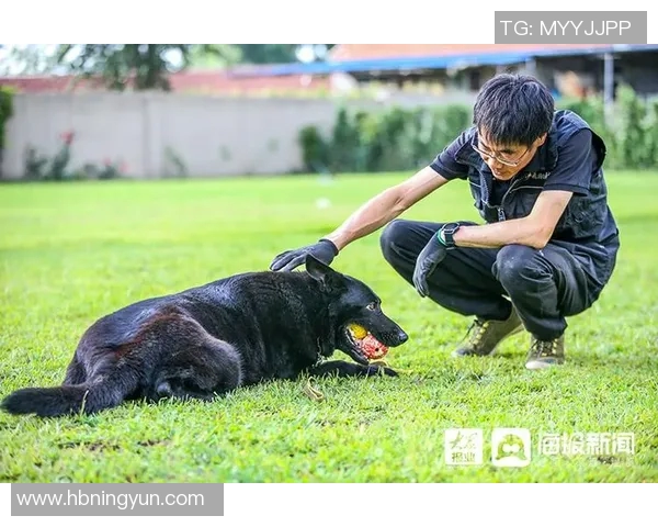 专访吴伟揭秘羽毛球成功秘诀与训练心得分享