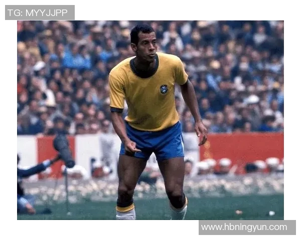 巴西足球明星椰子头的传奇故事与无尽魅力探秘 巴西足球明星椰子头的传奇故事与无尽魅力探秘