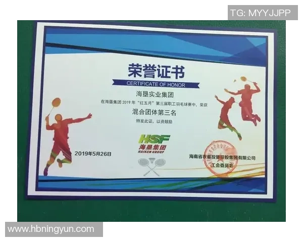 深圳羽毛球队团队协作表现的深度数据分析与启示 深圳羽毛球队团队协作表现的深度数据分析与启示