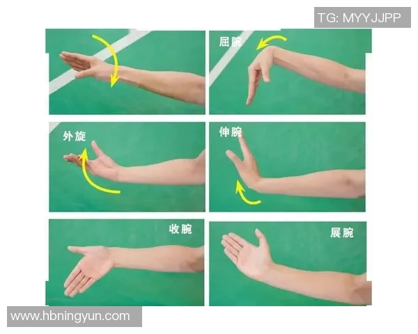 科学羽毛球训练指南:提升个人能力的有效方法与技巧分享 科学羽毛球训练指南:提升个人能力的有效方法与技巧分享