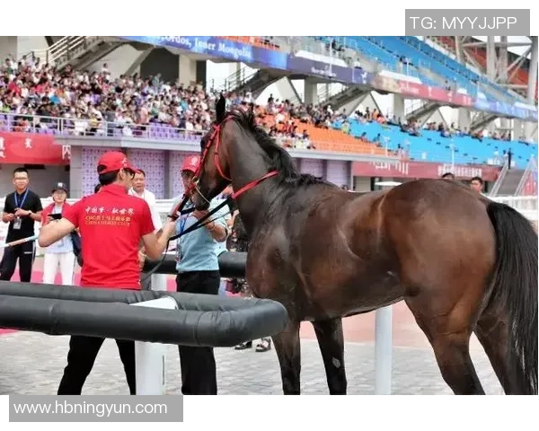 西安羽毛球队速度之争引发热议球迷与专家各执己见 西安羽毛球队速度之争引发热议球迷与专家各执己见